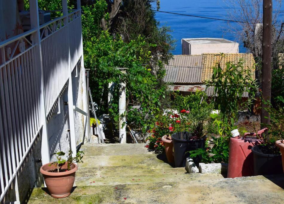 Kiki's Beautiful House On Famous Village *