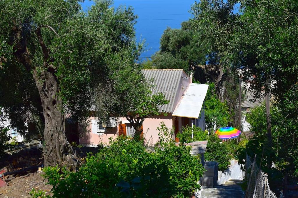 Kiki's Beautiful House On Famous Village
